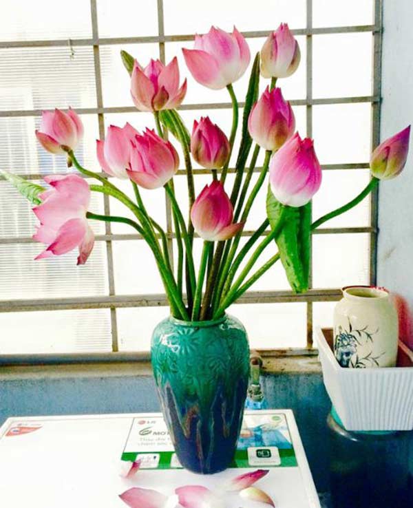 Cắm hoa là nghệ thuật tạo ra sự hài hòa và tươi mới cho căn phòng của bạn. Hãy xem những bức ảnh Cắm Hoa Lọ Lục Bình để tìm hiểu thêm về cách cắm và chọn hoa phù hợp để tạo nên một tác phẩm nghệ thuật độc đáo.