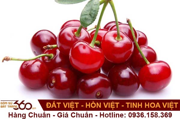 công dụng của rượu cherry là gì