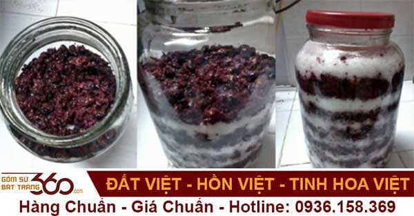 Chi-tiet-cach-ngam-ruou-sim-rung-voi-duong