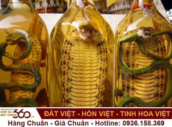 Rắn hổ mang chúa – Wikipedia tiếng Việt