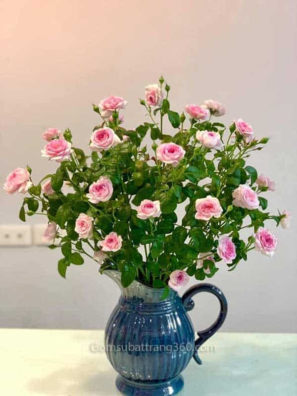 Bình Sữa Cắm Hoa Men Hoả Biến Cắm hoa hồng